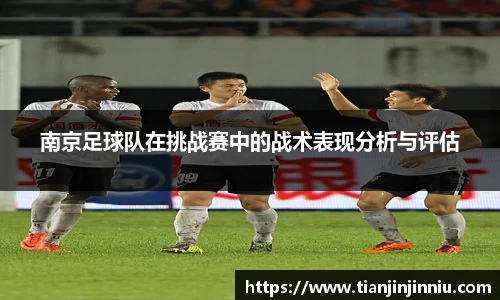 南京足球队在挑战赛中的战术表现分析与评估