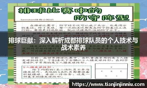排球巨献：深入解析成都排球队员的个人技术与战术素养